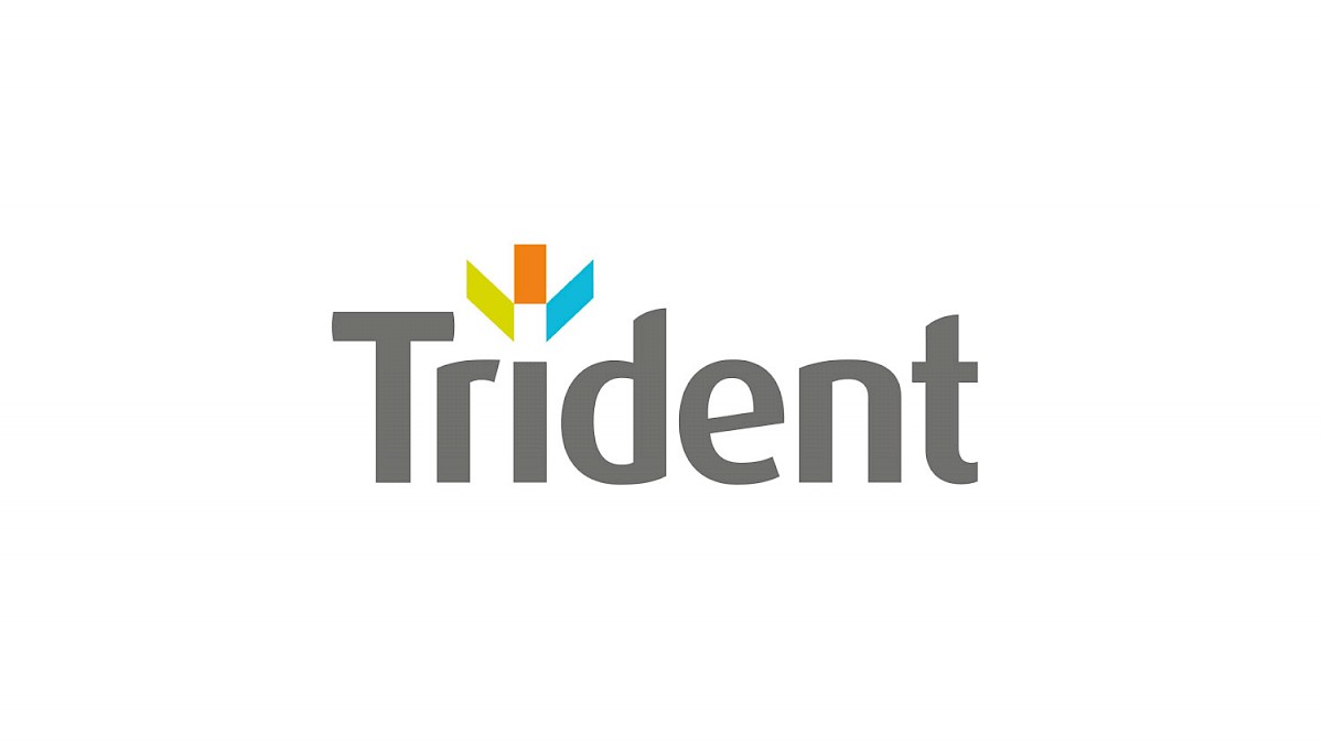 Trident Building Consultancy Ltd